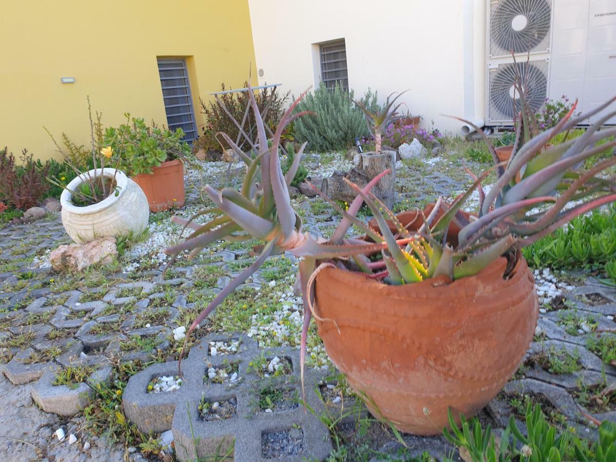 Aegina Bed & Culture Apartment Luaran gambar